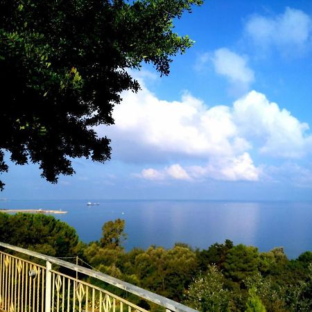 Villa Desideria A Pizzo Pizzo  Bagian luar foto